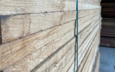 Ekens historia inom snickeri – ett träslag genom tiderna